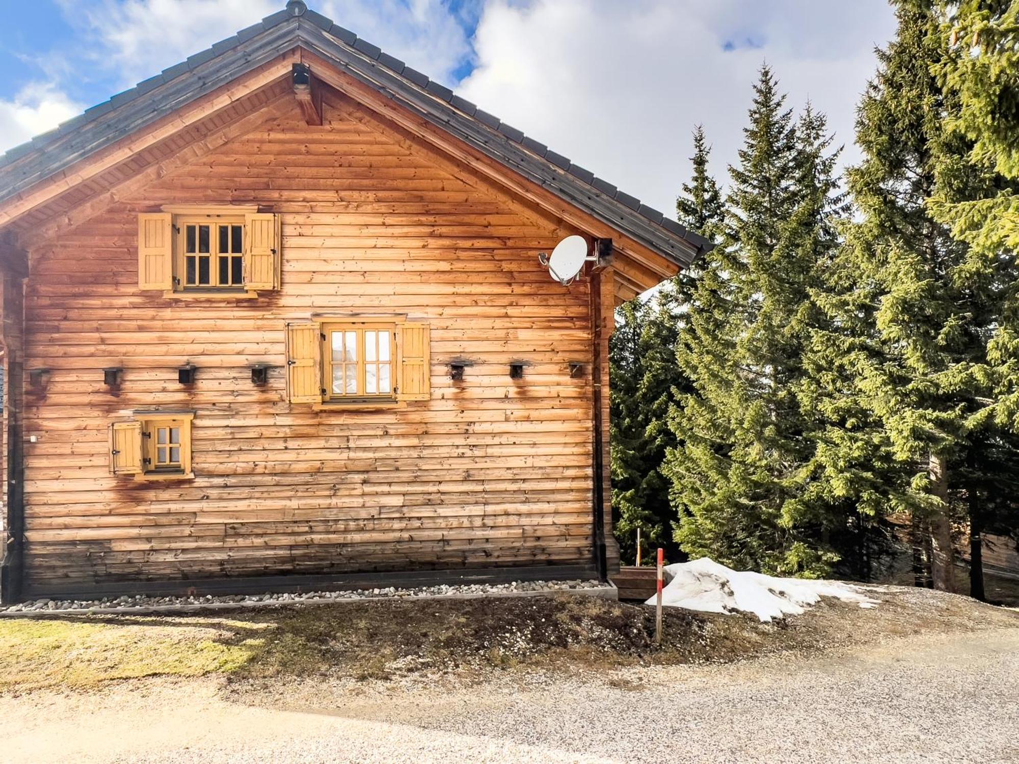 1A Chalet Enzianhuette - Ski Fahren Und Indoor Sauna Villa Elsenbrunn Екстериор снимка