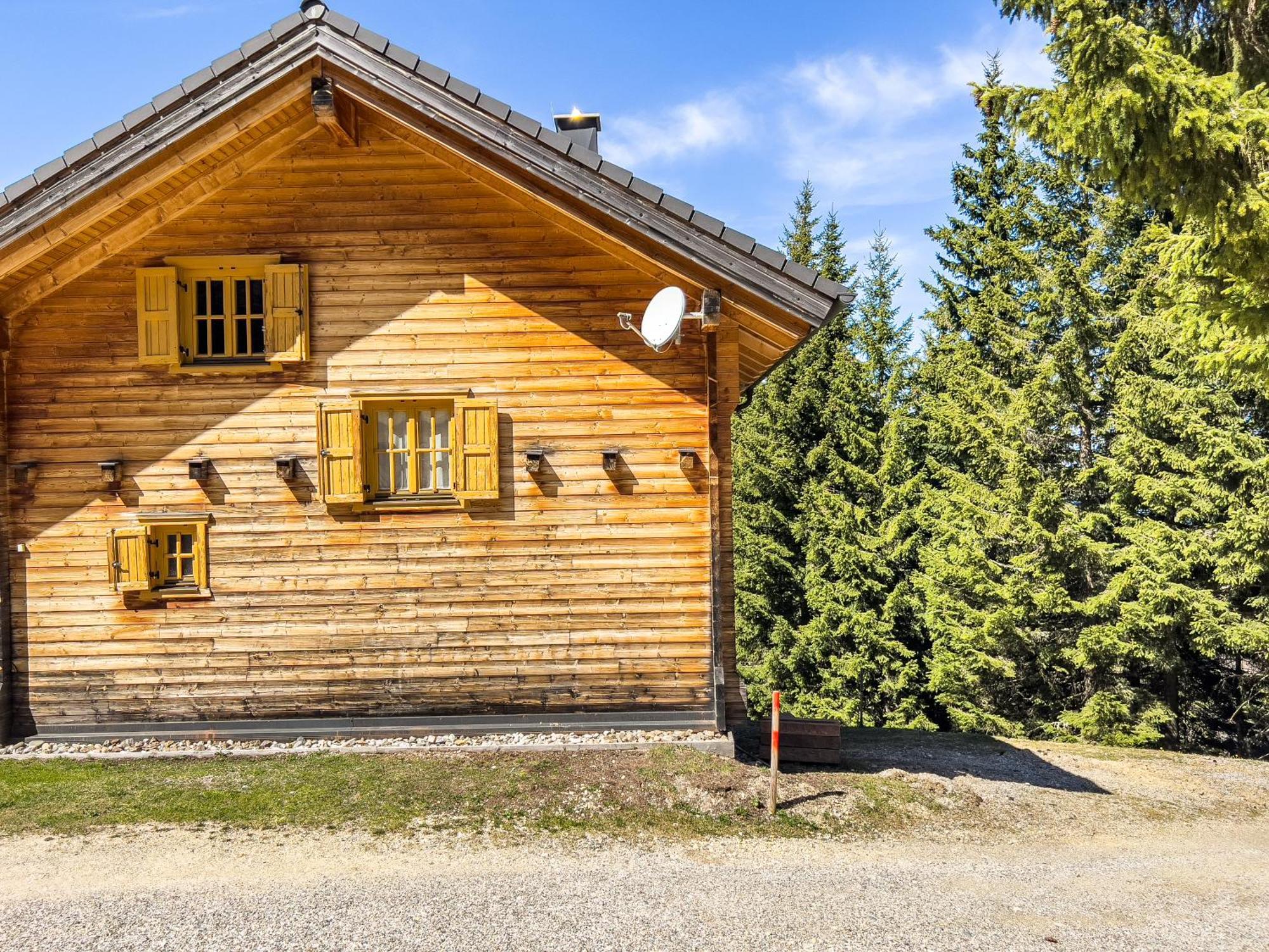 1A Chalet Enzianhuette - Ski Fahren Und Indoor Sauna Villa Elsenbrunn Екстериор снимка