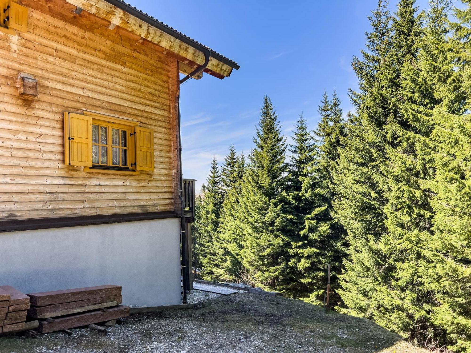 1A Chalet Enzianhuette - Ski Fahren Und Indoor Sauna Villa Elsenbrunn Екстериор снимка